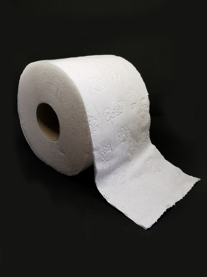 Toilet Paper Roll Crafts
